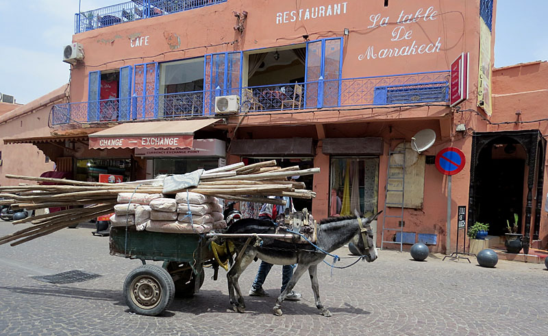 Promenade autour de la Médina de Marrakech