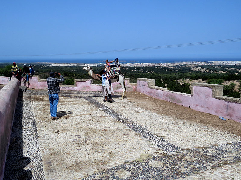 Arrive  Essaouira