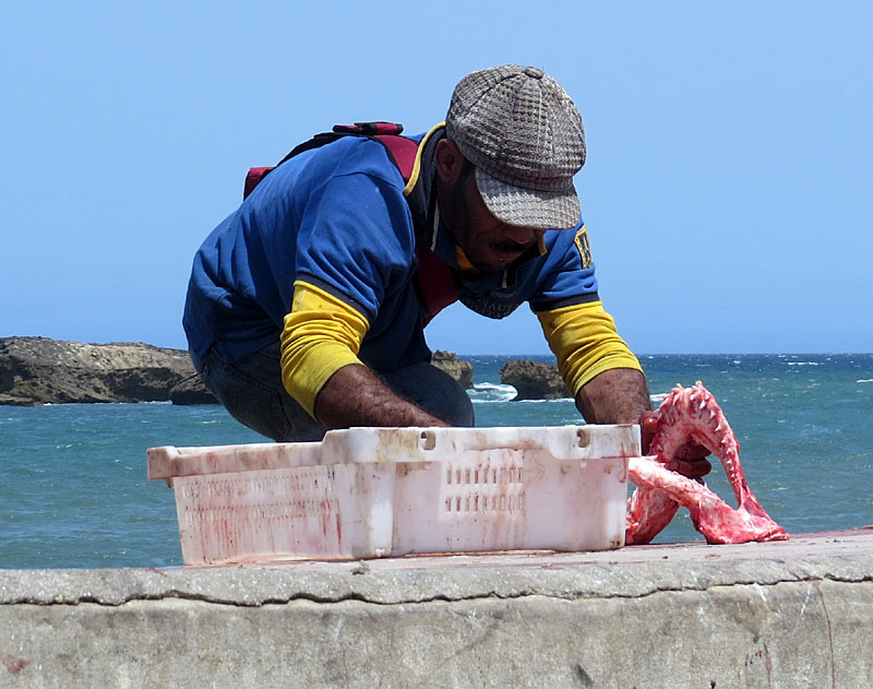 Port et vieille ville d'Essaouira