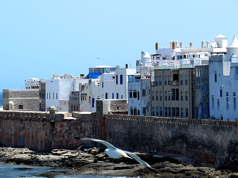 Port et vieille ville d'Essaouira