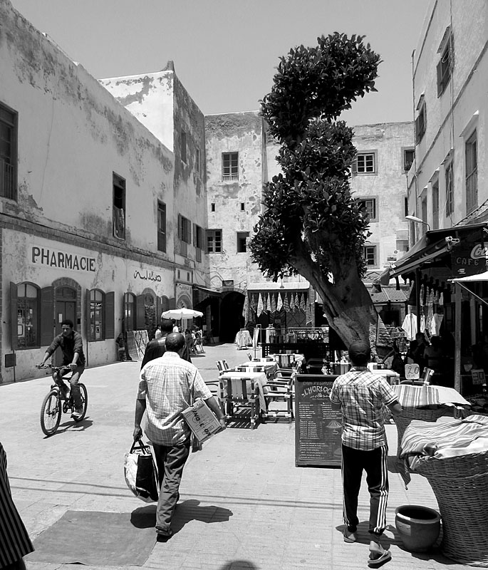 Port et vieille ville d'Essaouira