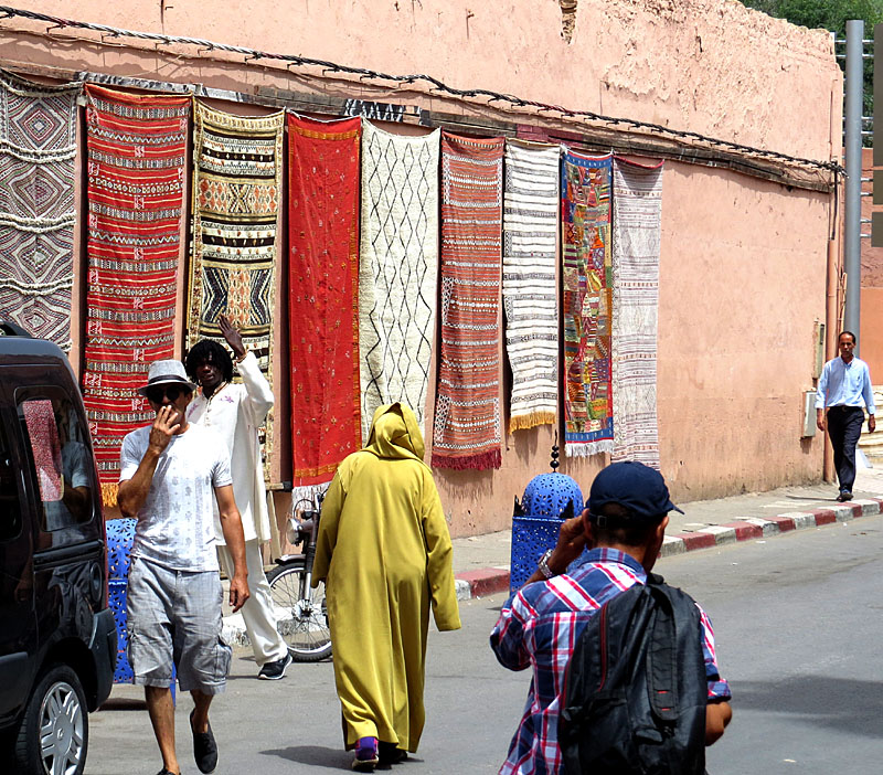 Promenade autour de la Médina de Marrakech