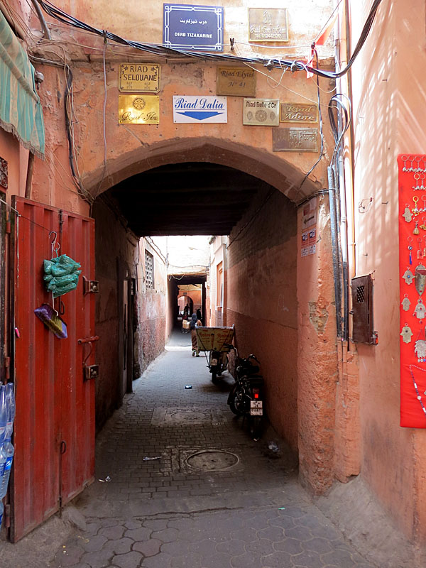 Promenade autour de la Médina de Marrakech