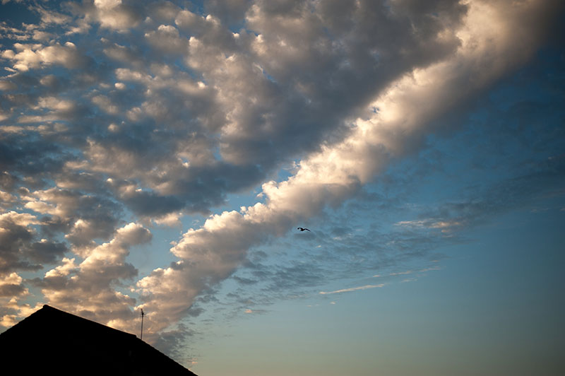 29th May 2018 <br> altocumulus