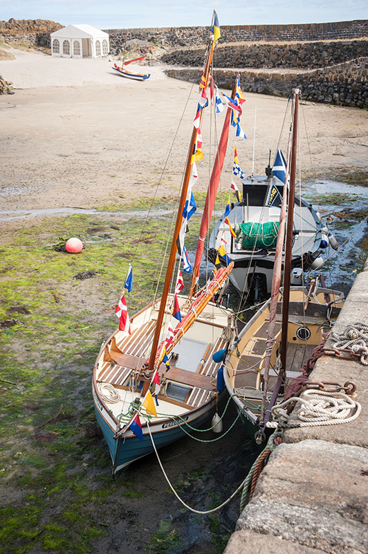 DSC_0643001.jpg