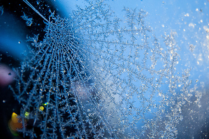 5th December 2018  icy web