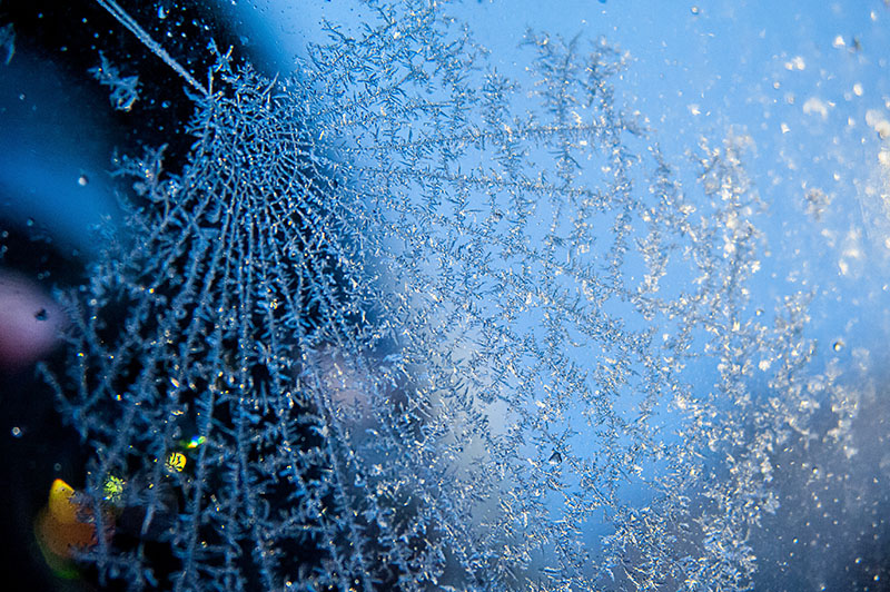 5th December 2018 <br> icy web