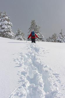 2016129378 Jason Sierra Nevada.jpg