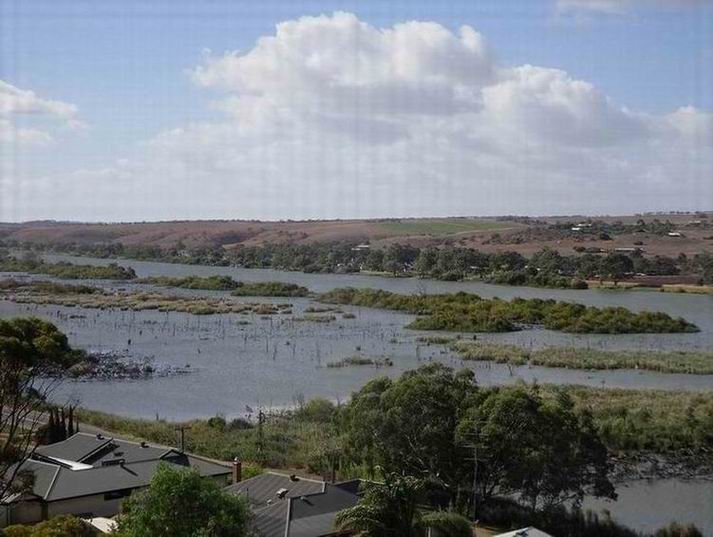 MurrayRiver_Mannum5696.JPG