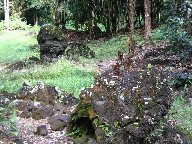 Lava Tree monument Picture 069.jpg