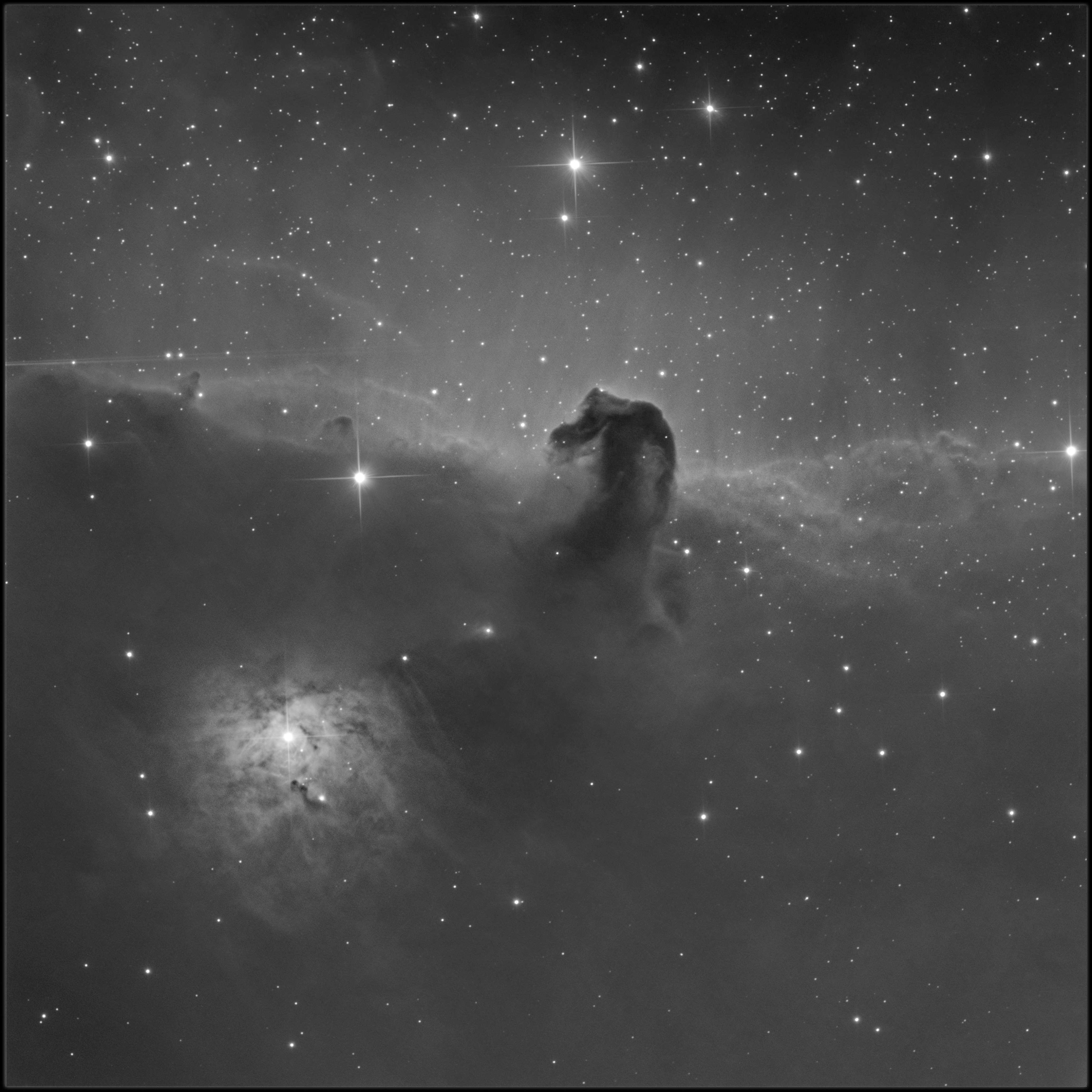 Horsehead small B and w