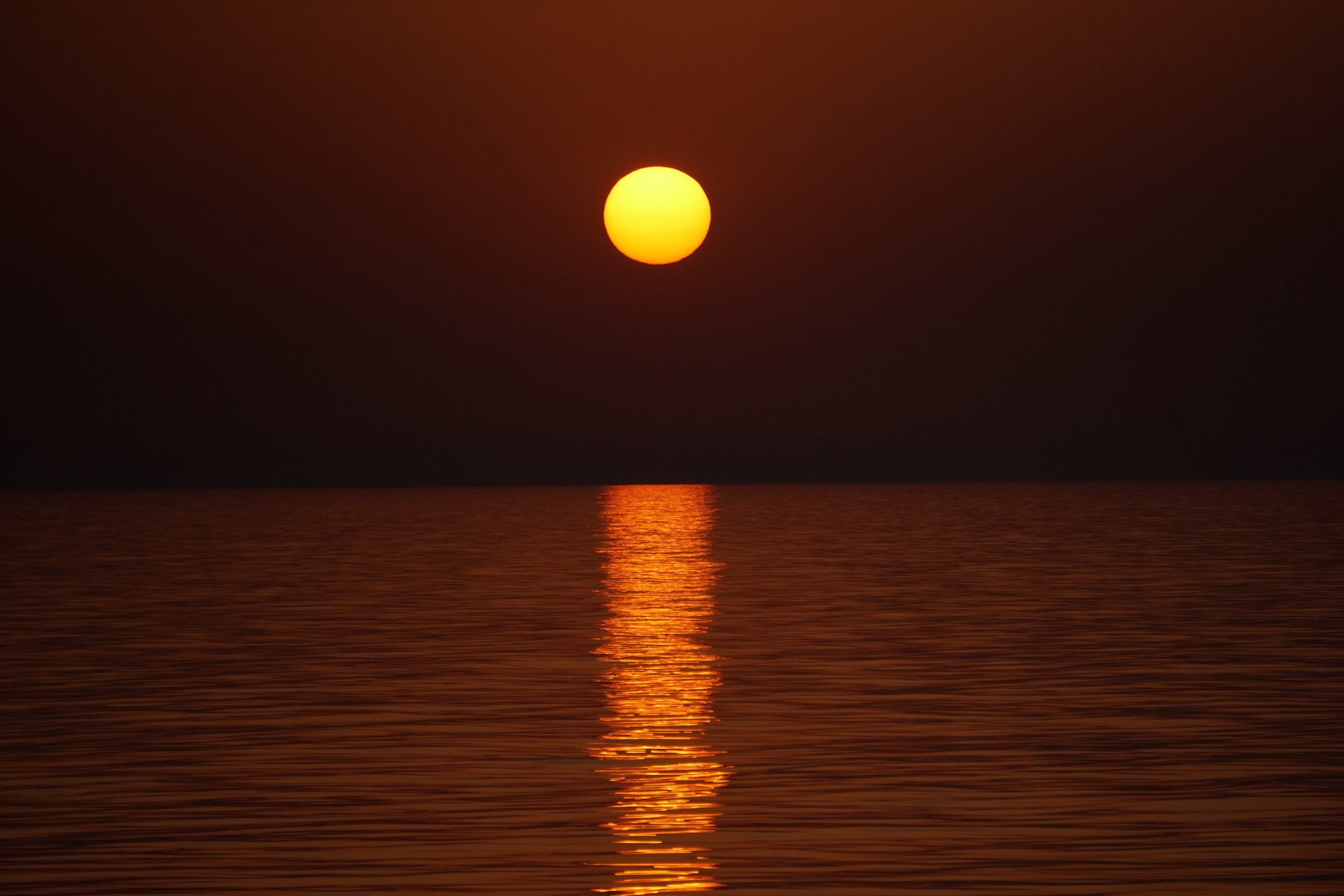 DSC05046_resize.JPG