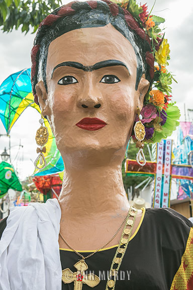 Frida Kahlo Mono