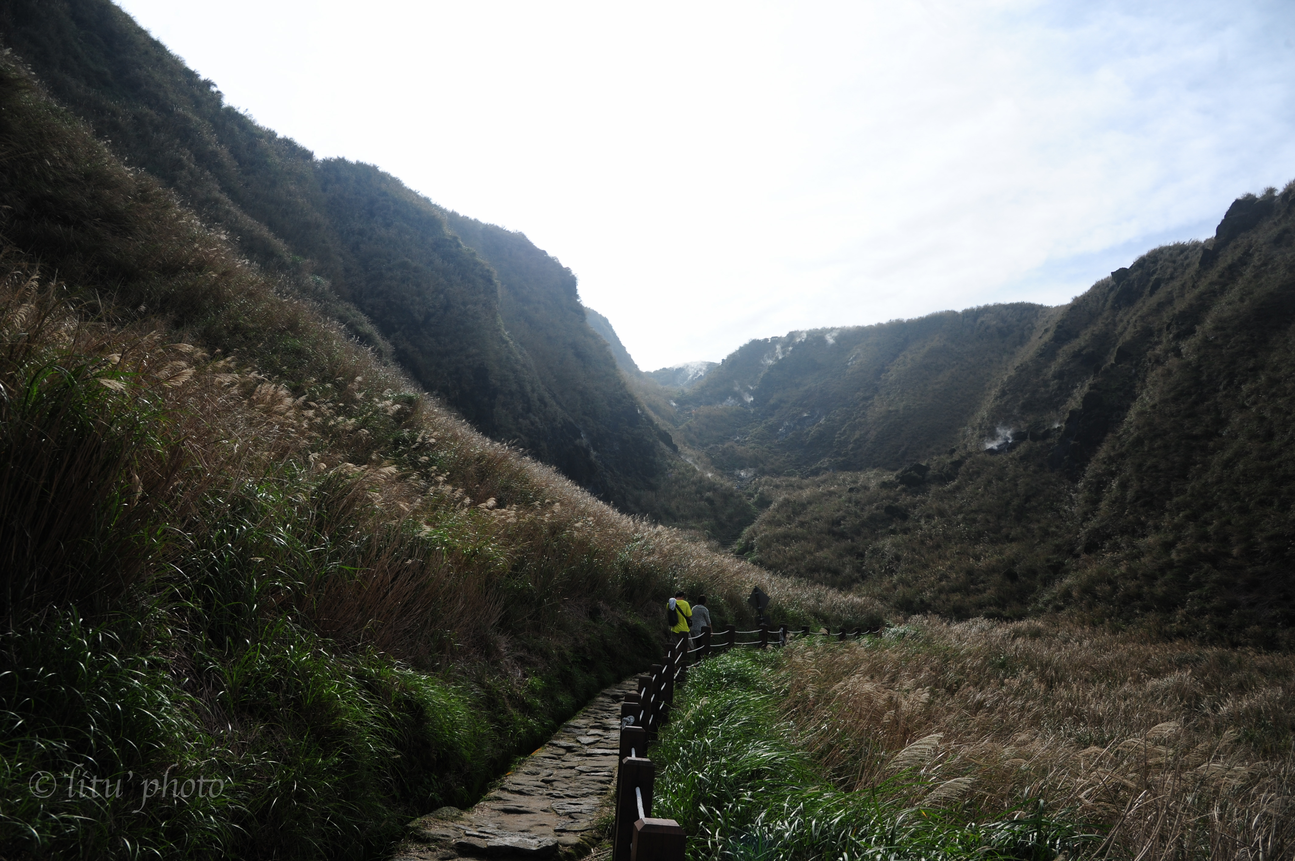 DSC_0699.jpg