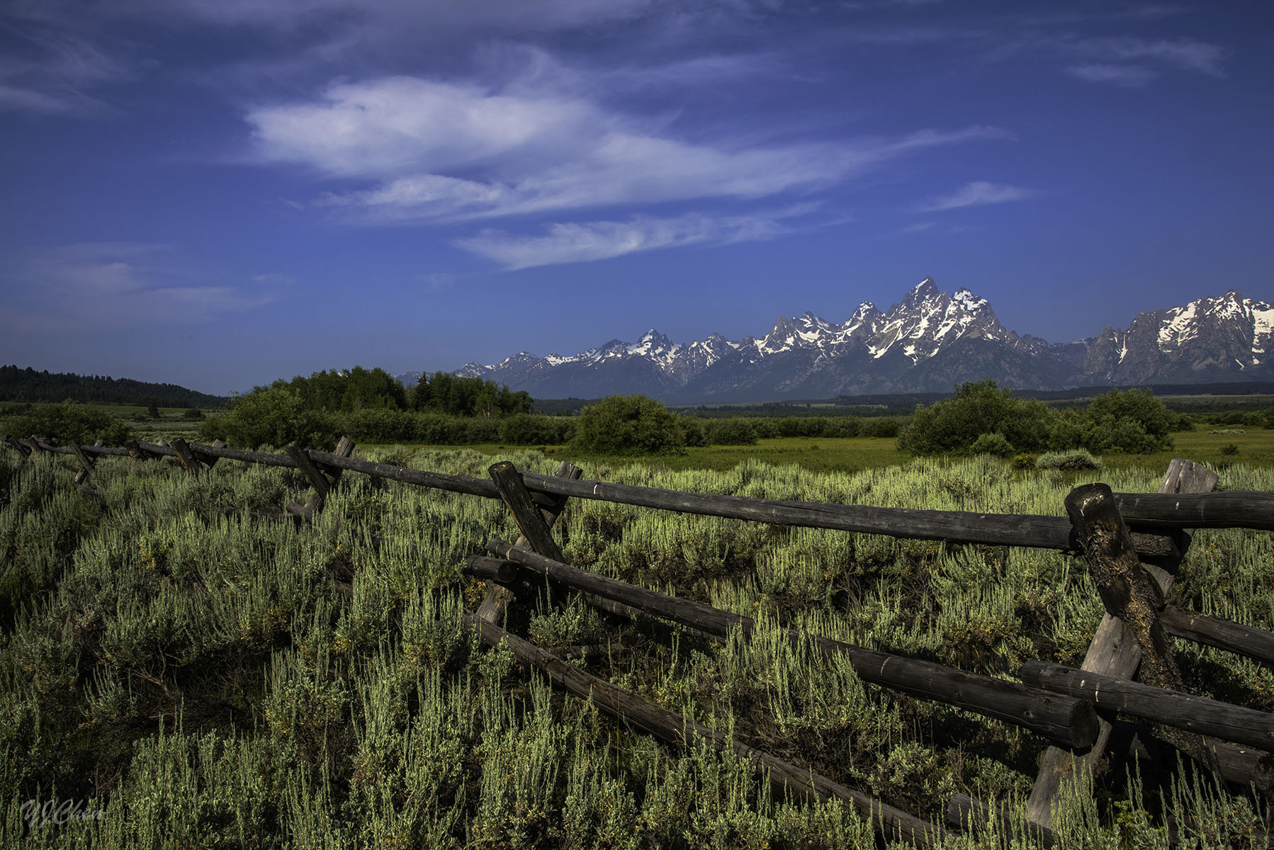 170710-3_TriangleX_fence_5214m.jpg