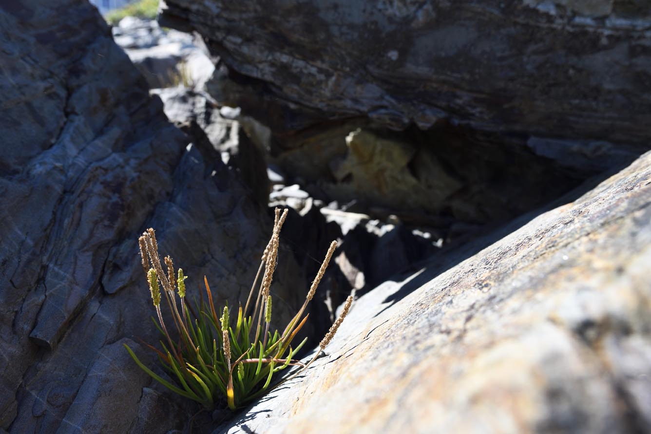 In the Crag