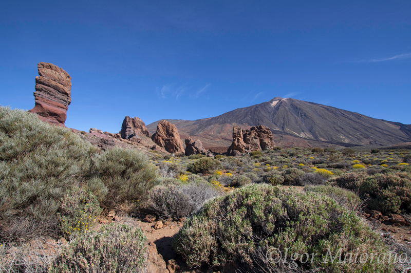 Teide