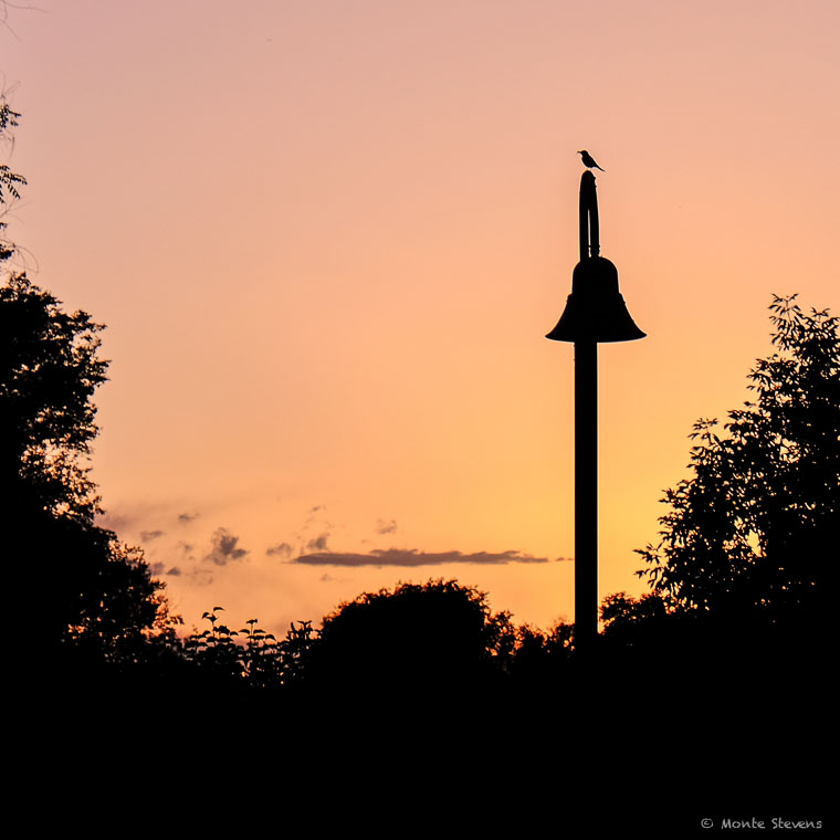 Sunset Shilouette 