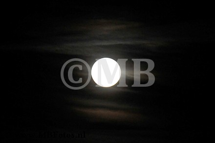_MBF9667.jpg