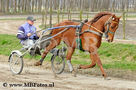 _MBF8900.jpg