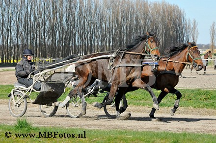 _MBF0077.jpg