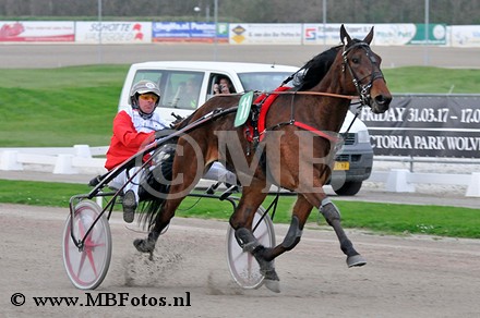 Koers 4. Gustafson.jpg