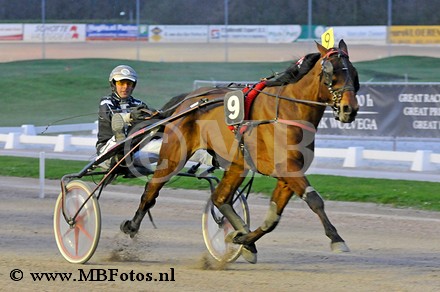 Koers 6. Tuxedo Bi.jpg