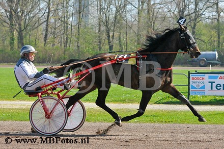 _MBF1618.jpg