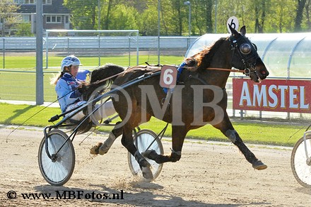 Koers 7. Adelaar1.jpg