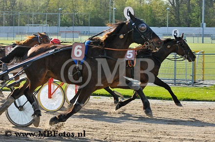 Koers 7. Adelaar2.jpg