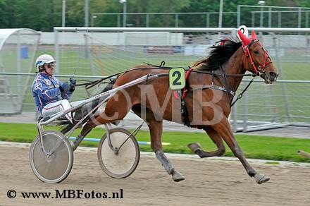 Koers 4. Dinand Convital.jpg