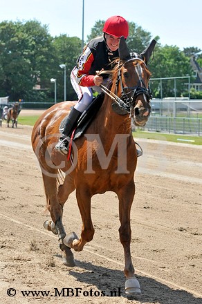 Koers 2. Elma Alki3.jpg