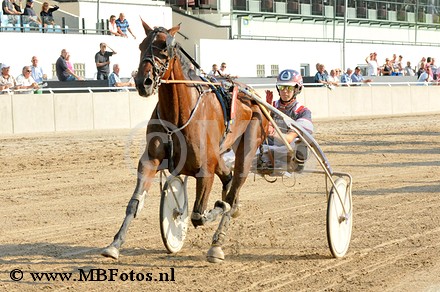 Koers 3. Giant Shadow.jpg