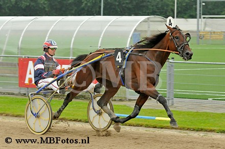 Koers 6. Giant Shadow.jpg