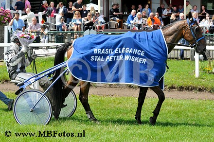 Koers 3. Brazil Elegance2.jpg