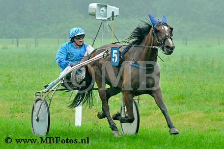 _MBF6004.jpg