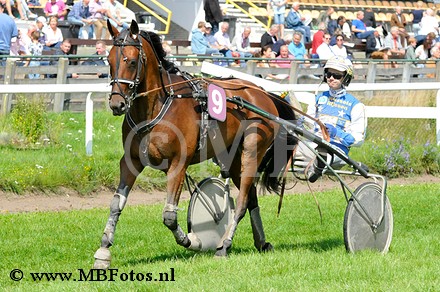 Koers 8. Gigant Well2.jpg