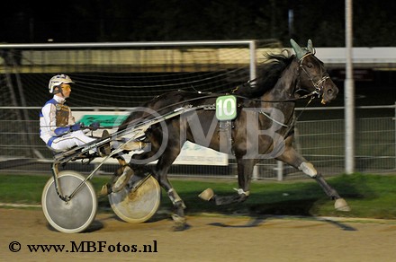 Koers 9. Mr Firecracker.jpg
