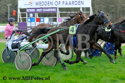 Koers 9. Brazil Elegance1.jpg