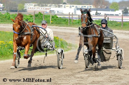 _MBF2012.jpg