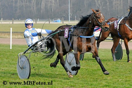 Koers 8. Cassari1.jpg