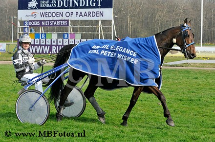 Koers 9. Brazil Elegance5.jpg