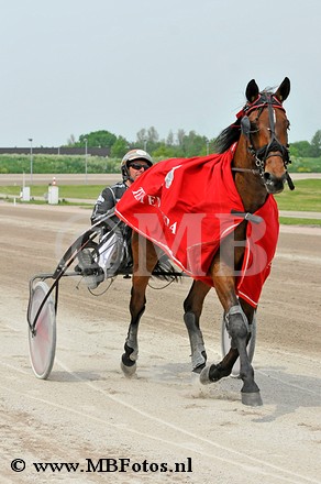Koers 8. Tuxedo Bi2.jpg