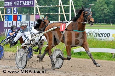 Koers 3. Graham Convital1.jpg