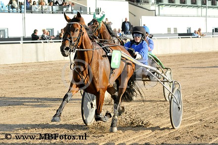 Koers 4. Fonne Pomponne.jpg