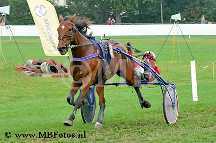 Koers 7. Cest Ca.jpg