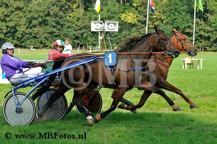 Koers 2. Gufo Greenwood.jpg