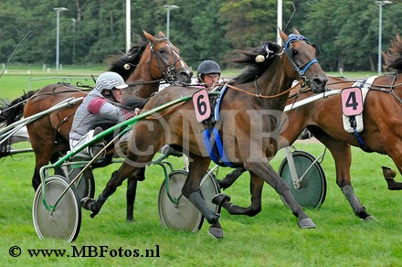 Koers 10. Brazil Elegance1.jpg