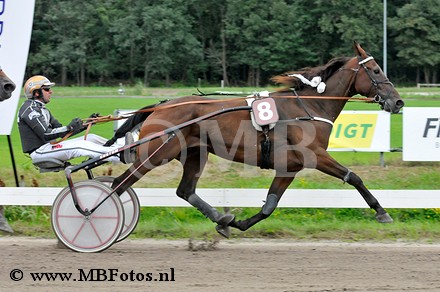 Koers 12. Shake Hands.jpg