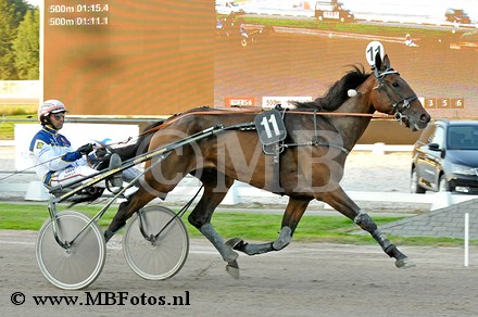 Koers 6. Helena di Quattro.jpg